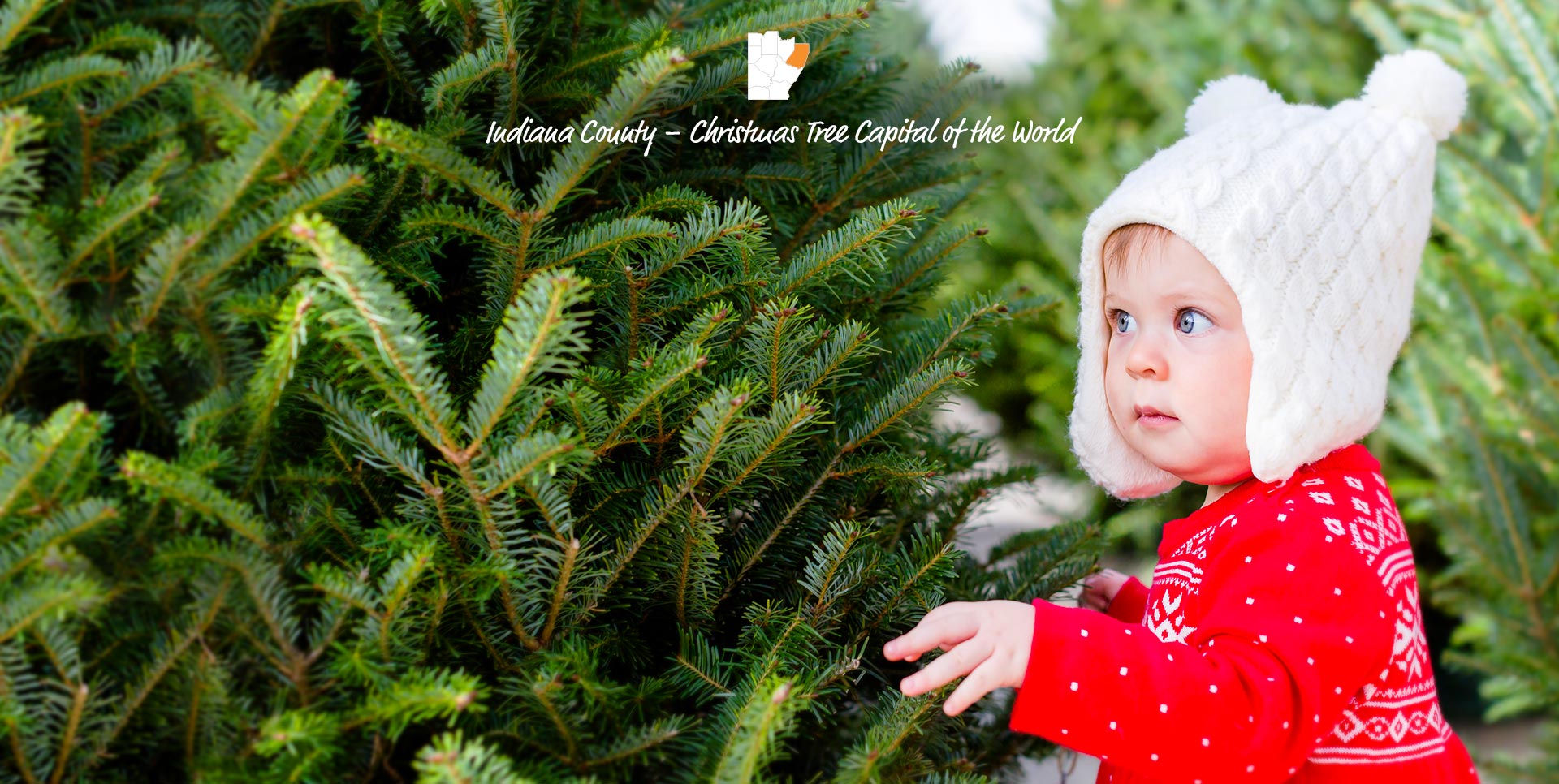 Indiana County – Christmas Tree Capital of the World