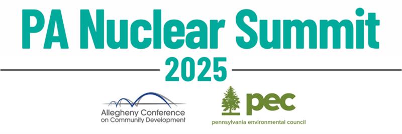 Nuclear Summit Logo